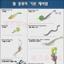 지지지 이미지