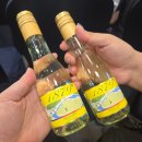 한 달 넘어서 쓰는 국악와인열차 당일치기여행(feat.대전0시축제, 성심당)