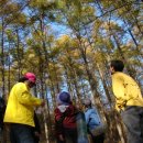 횡성군청소년수련관 이미지