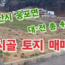 백년공인중개사사무소 이미지