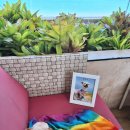 도꼬시에 이미지