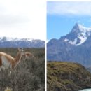 에노스호텔 이미지