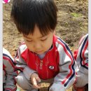 남포농장 이미지