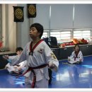 용인대 한얼 태권도 이미지