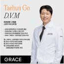 그레이스 고양이 병원 이미지