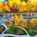 이태원로(서측) 이미지