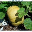 당포1리 휴식공원 이미지