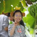 한림농장 이미지