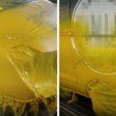 그랜드자동차공업사 이미지