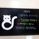 꼬양이 놀이터 네이버블로그