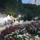 올림픽공원 장미광장 Festa, 째즈 패스티벌 이미지