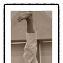 둔산 태권도장 이미지