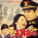 홍도야울지마라