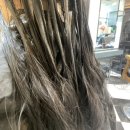 Vanity & co hair(베니티헤어) | 부산 해운대미용실 베너티앤코 Vanity & Co Hair