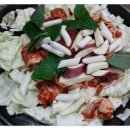토지닭갈비
