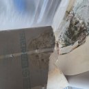 [고양시 누수복원] 덕양구 화정동 옥빛마을 아파트 누수공사 후 도배 마감까지 완벽 복원 후기