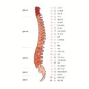(주)삼정식품