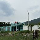 커피팜페 이미지
