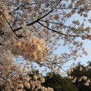 대륜세탁소 이미지