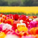 정상한의원 이미지