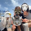 종고산길 | 한여름 탄산 같은 여수에서,,