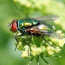 대화주유소 이미지