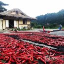 농민의집 이미지