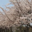 원신근린공원 이미지
