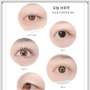 시선뷰티 이미지