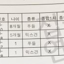 필유동물병원 네이버블로그