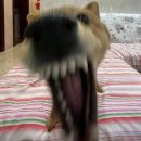 지현 앤 하이드 블로그를 감히 니가 안 봐?