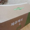 요망진제주 | 파근파근 제주도 미니 밤호박, 보우짱을 아세요? - '농라' 카페, '요망진제주'님 보우짱 완전 짱!!! ^.^
