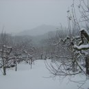 산고을 이미지