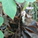 월정보건진료소 이미지