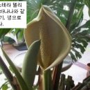 별별과일