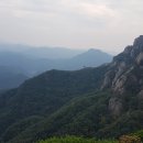 진산면 두지삼거리 이미지