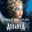 Querer(좋아합니다)-Cirque Du Soleil 이미지