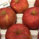 월곡농장 이미지