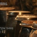 지혜토굴새우젓