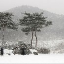 세한사 Daum카페