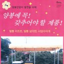 디엠코리아 이미지