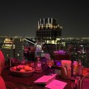 펫 탑 클래스 | 1월 방콕 여행 : 초록을 거뭐진 우리는 🌱