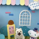 반려동물미용실 언니네 이미지