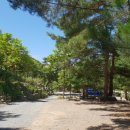 쿵쿵소 캠핑장 이미지