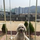 카페온니담