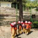 환호해맞이공원 이미지