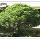 한림초등학교가산분교장 이미지