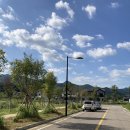 화양견화 | [애견미용] 담양 애견미용전문 '화양견화'