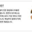 퀸비캔들 - 용인시 기흥구 동백죽전대로 444 | 퀸비캔들