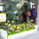 김정희헤어샵 - 목포시 수문로 46-5 | 김정희헤어샵